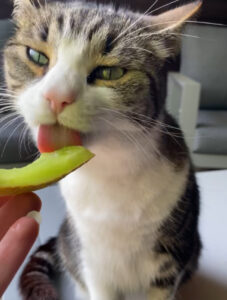 Daisy eet fruit